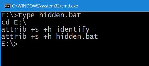 5ed3e0202f493-BAT_file_in_E_root_directory.jpg