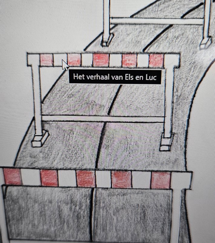 HET VERHAAL VAN ELS EN LUC.jpg