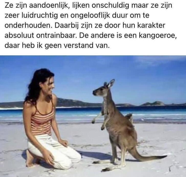 Vrouwen.jpg